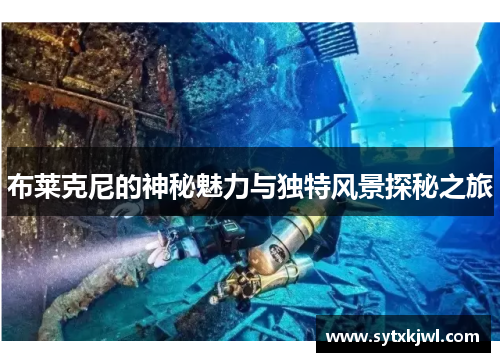 布莱克尼的神秘魅力与独特风景探秘之旅